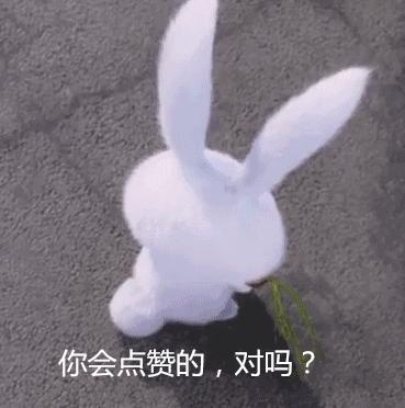 歌曲365天视频,用音乐编织的每日生活旋律 歌曲365天视频,用音乐编织的每日生活旋律